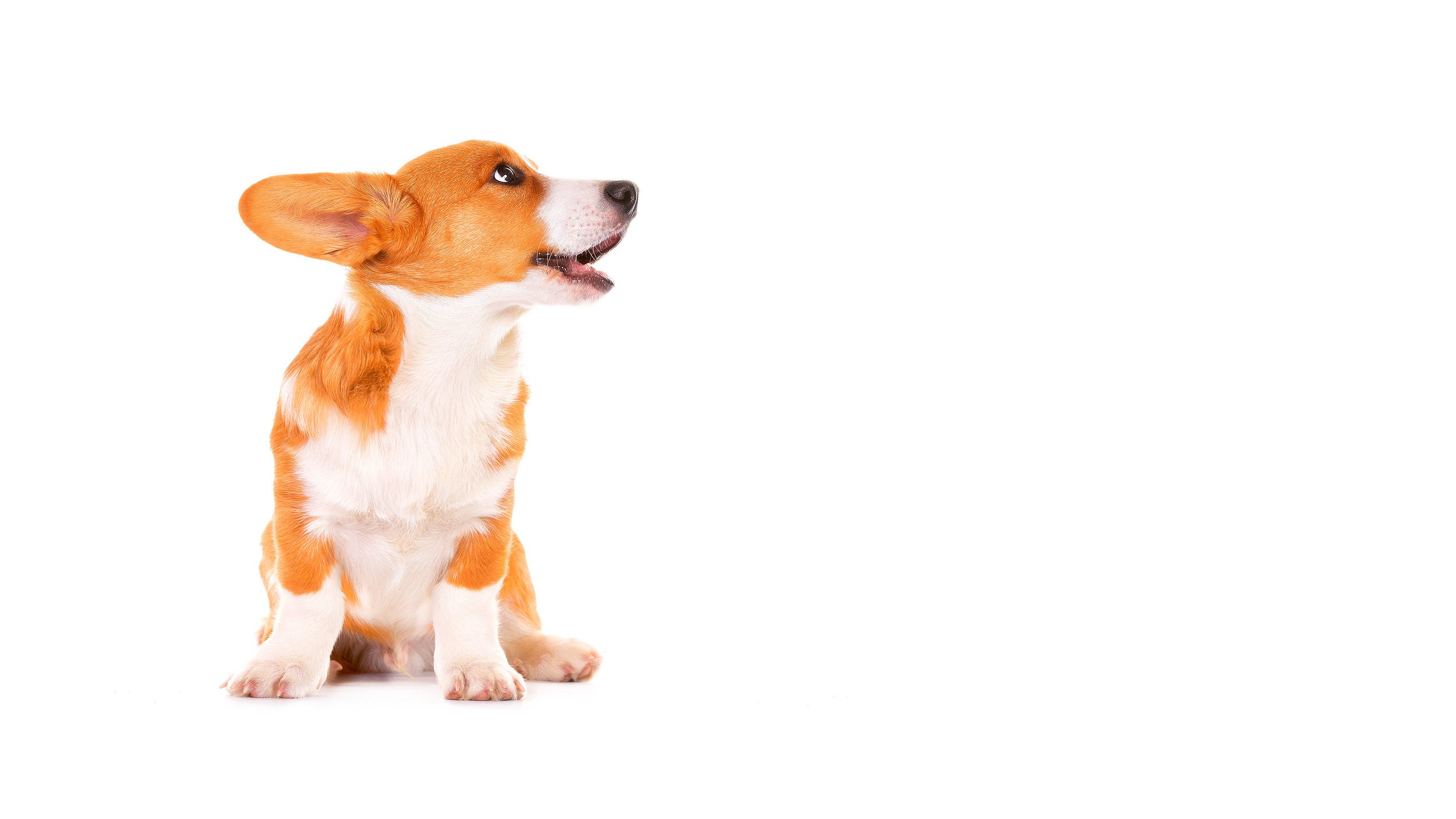 slider1_2