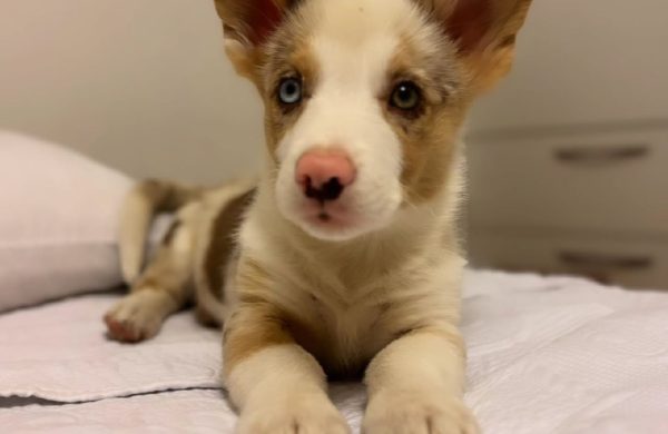 Winnie